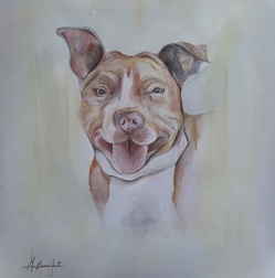 Staffordshire Bull terrier Commission